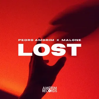 Lost by Pedro Amorim