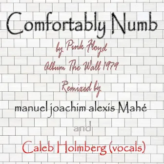 Comfortably Numb by manuel joachim alexis Mahé