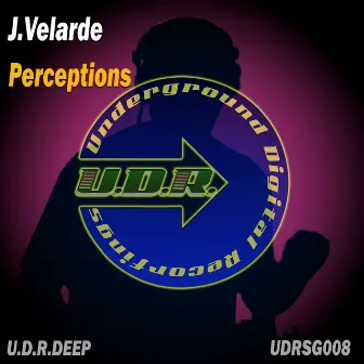 Perceptions by J. Velarde