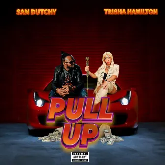 Pull up (Trisha Hamilton Remix) by Sam Dutchy