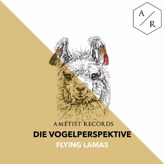 Flying Lamas by Die Vogelperspektive