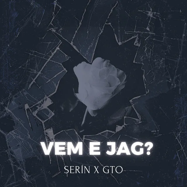 VEM E JAG?