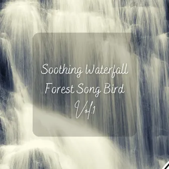 Soothing Waterfall Forest Song Bird Vol. 1 by Unknown Artist