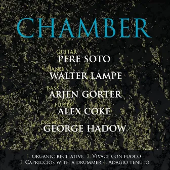 Chamber by Chamber