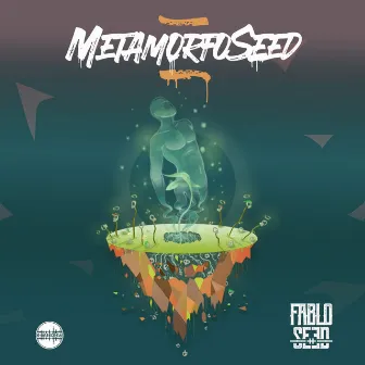 MetamorfoSeed by Fablo Seed