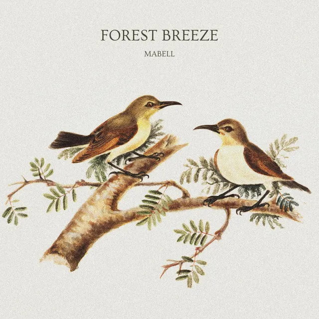 Forest Breeze