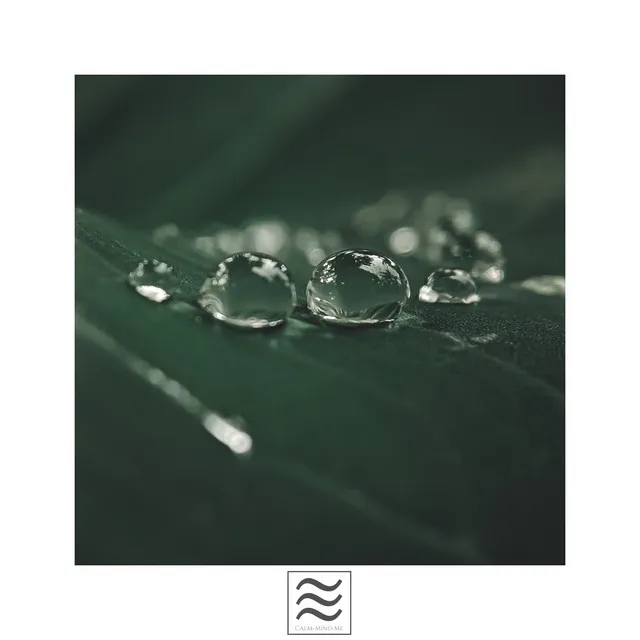 Raining Ambient Music Soft Sound