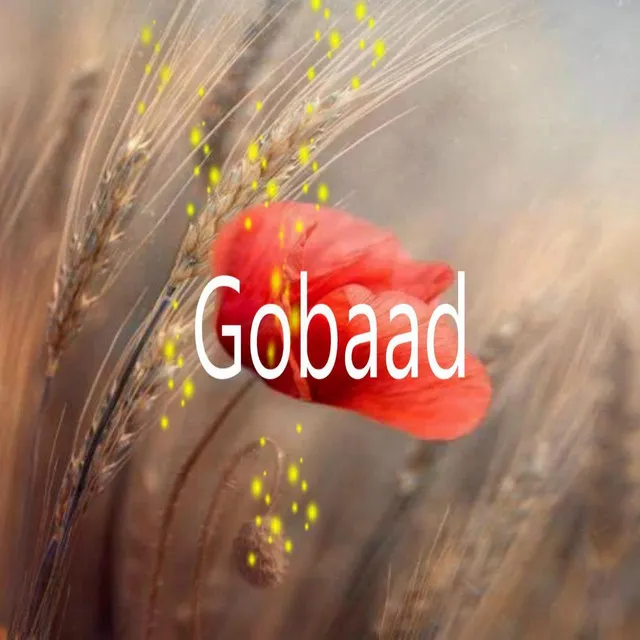 Gobaad