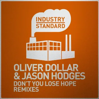 Don't You Lose Hope Remixes by Jason Hodges