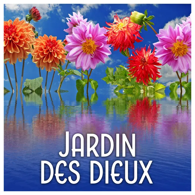 Jardin sauvage