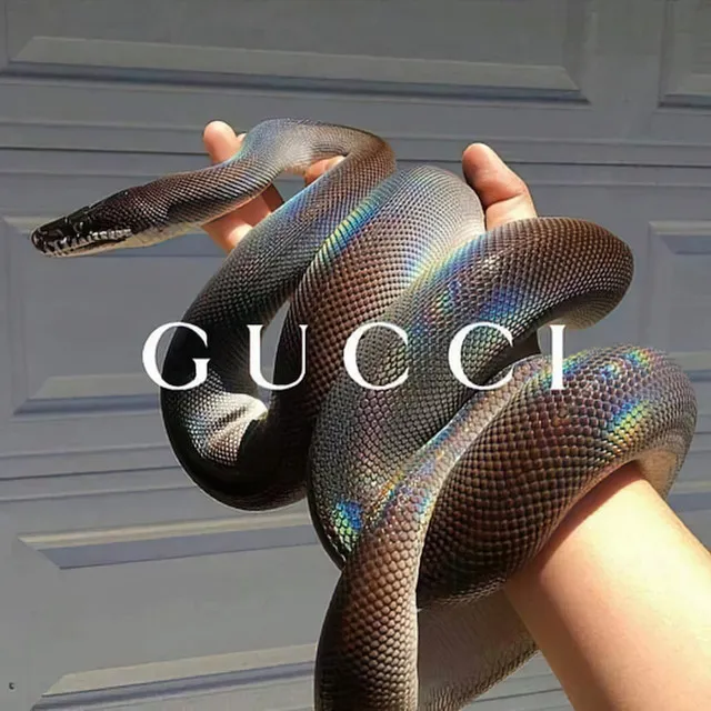 Gucci