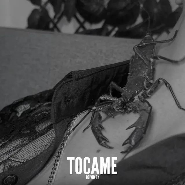 Tócame