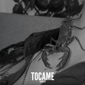 Tócame by Deivid Gs