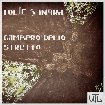 Gambero dello stretto by Ingra