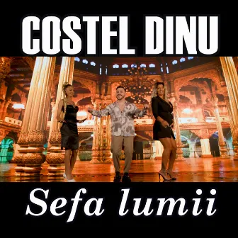 Sefa lumii by Costel Dinu