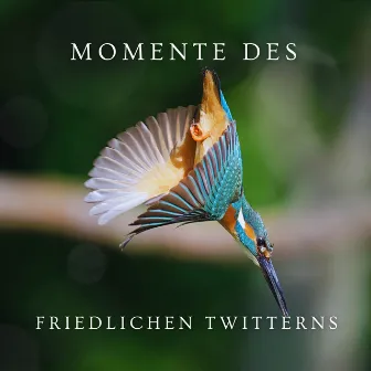 Momente des friedlichen Twitterns by Naturgeräusche