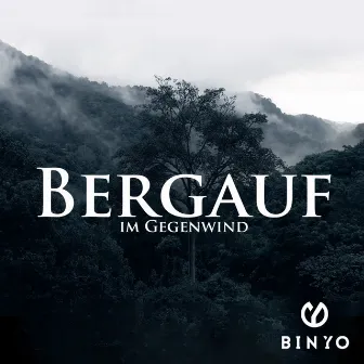 Bergauf im Gegenwind by Binyo