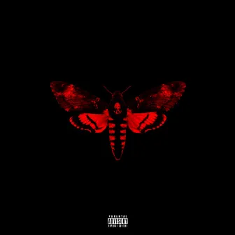 I Am Not A Human Being II (Deluxe) by Lil Wayne