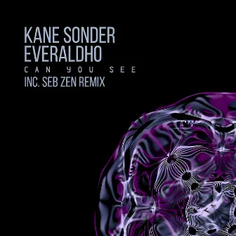 Can You See by Kane Sonder