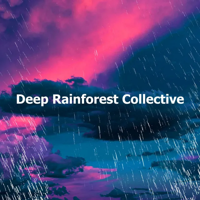 Deep Rainforest Collective