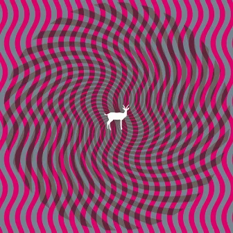 Cryptograms by Deerhunter