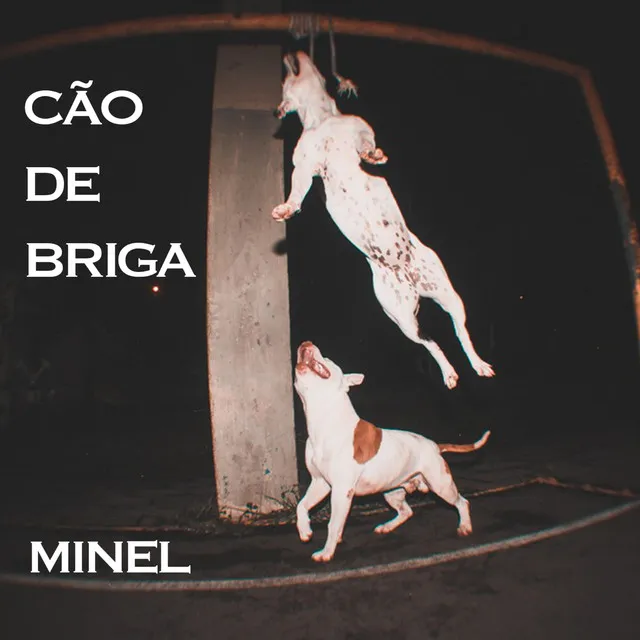 Cão de Briga