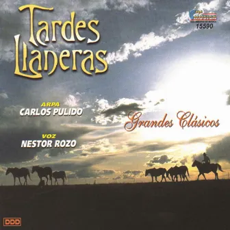 Tardes Llaneras by Néstor Rozo