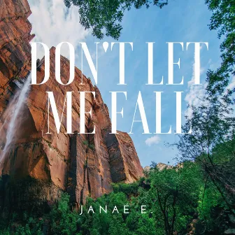 Don't Let Me Fall by Janaé E.