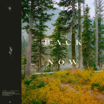 Back Now by Ethan Dufault