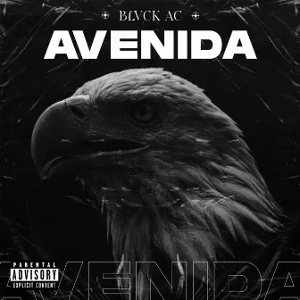 Avenida by Blvck Ac