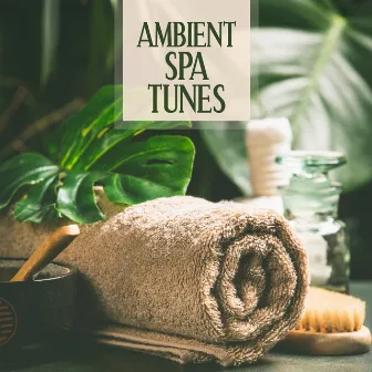 Ambient Spa Tunes - Relaxing Melodies for Therapy, Massage, Rest and Chill Out by Tranquility Day Spa Music Zone