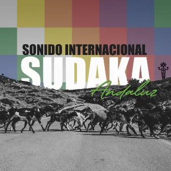 Sudaka Andaluz by SONIDO INTERNACIONAL