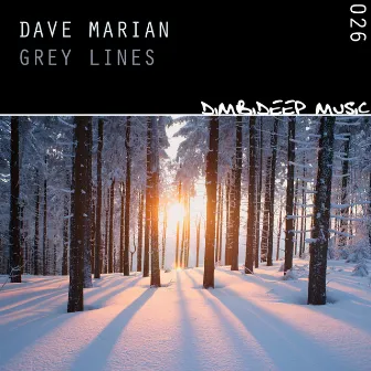 Grey Lines by Dave Marian