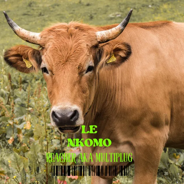 LeNkomo