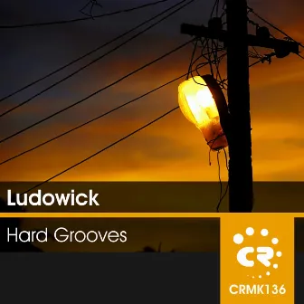 Hard Grooves by Ludowick