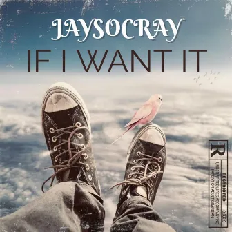 If I Want It by JaySoCray