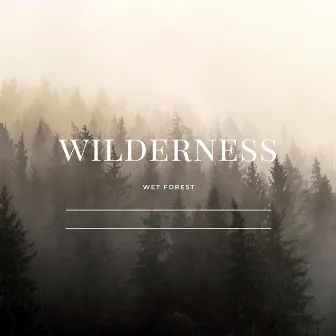 Wilderness by Wet Forest