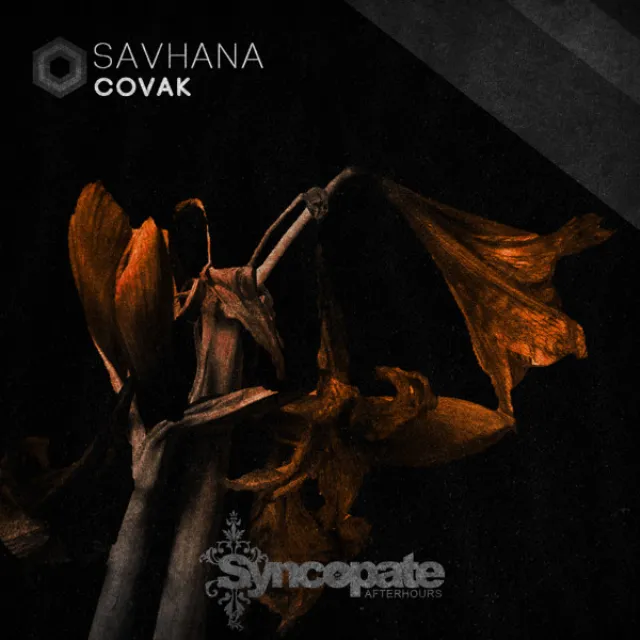 Savhana - Original Mix