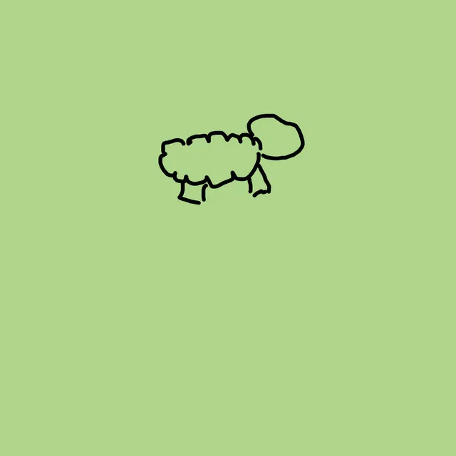 sheep