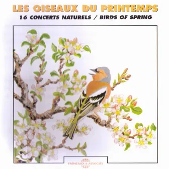 Les oiseaux du printemps - Birds of Spring (16 concerts naturels) by Frémeaux Nature