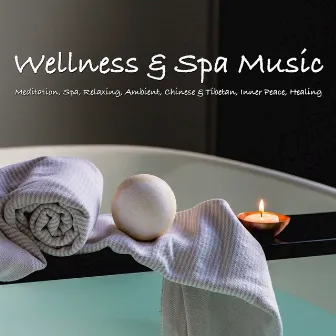 Wellness & Spa Music by Binaural Beats Central