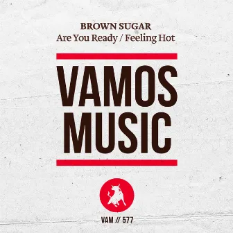 Are You Ready / Feeling Hot by Brown Sugar