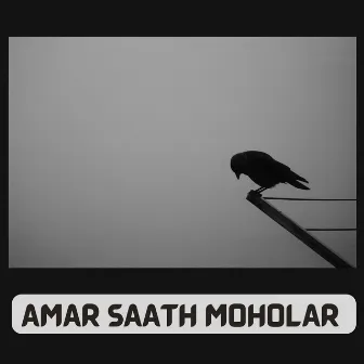 AMAR SAATH MOHOLAR SWAPNA by Soma Das