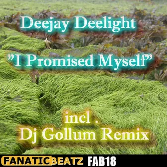 I Promised Myself by Deejay Delight