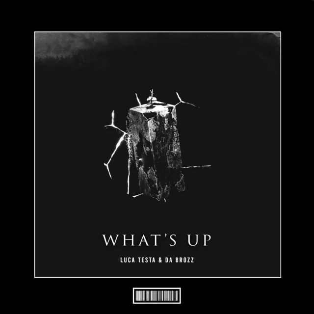 What's Up - Hardstyle Remix