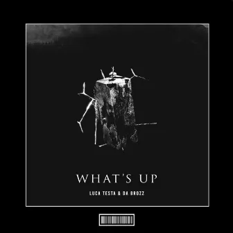 What's up (Hardstyle Remix) by Da Brozz