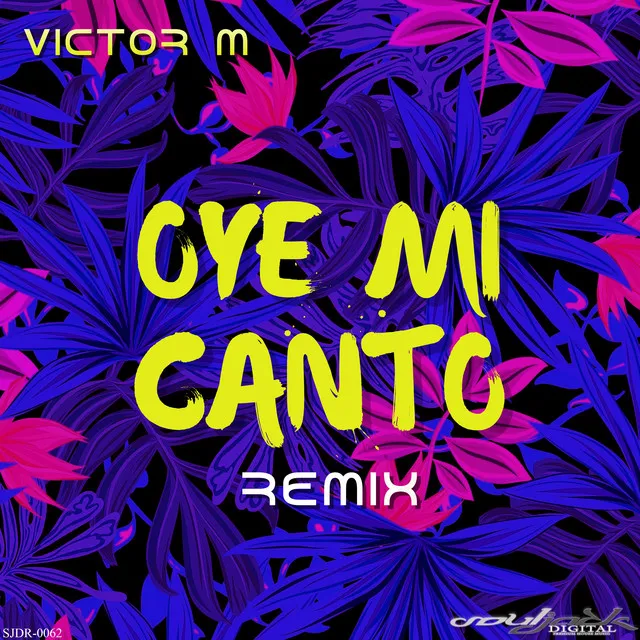 Oye Mi Canto - Remix