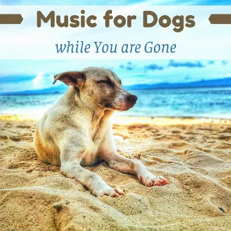 Music for Dogs while You are Gone by Dog Bedtime