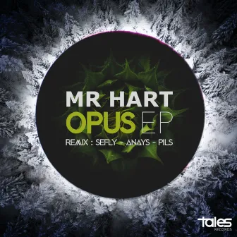 Opus by Mr Hart