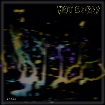 Not Sorry - Single by Lakes